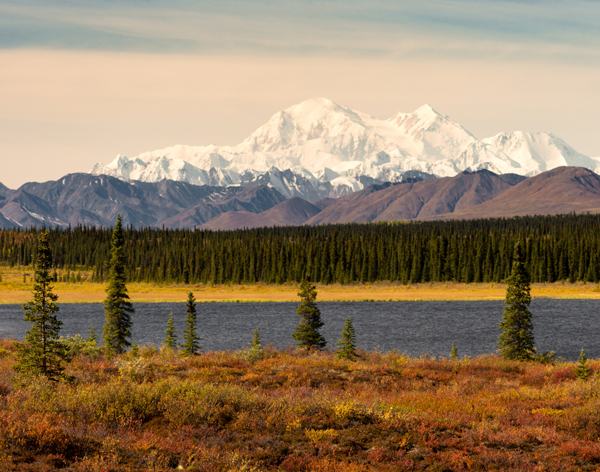 Mt. Denali