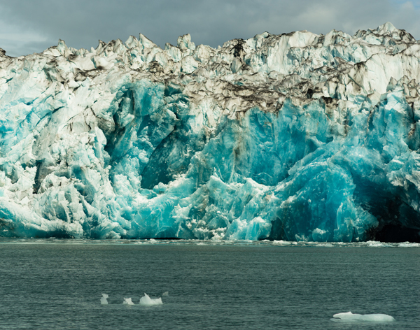 Kenai Fjords