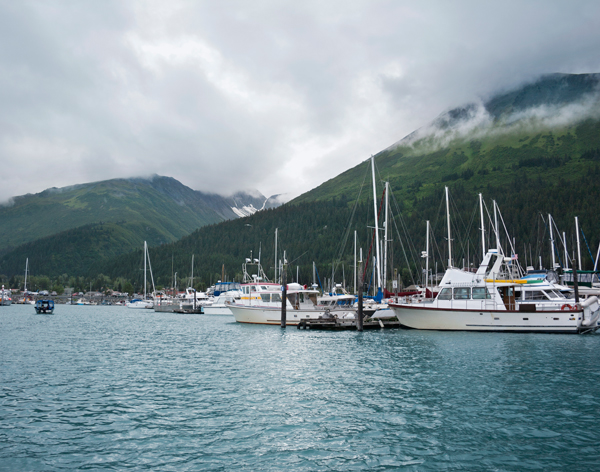 Seward Marina